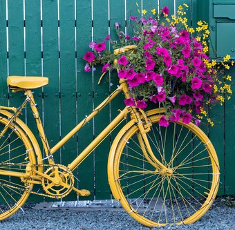 vélo fleurs